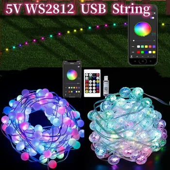 5 М / 10 М 5 В USB Светодиодная гирлянда RGB Ws2812 Pixel Light, гирлянда, водонепроницаемый сказочный свет для рождественской свадьбы, декор для вечеринки, светодиод