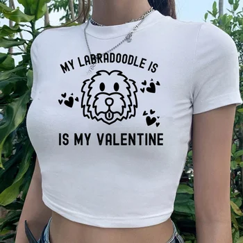 Labradoodle fairycore yk2 винтажный укороченный топ Женская винтажная одежда fairycore с дрянной графикой